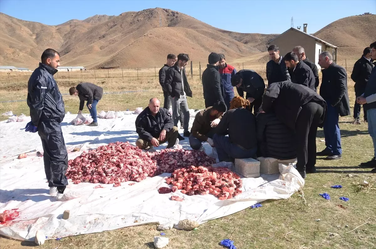 Yüksekova’da Kurban Eti İhtiyaç Sahiplerine Dağıtılıyor