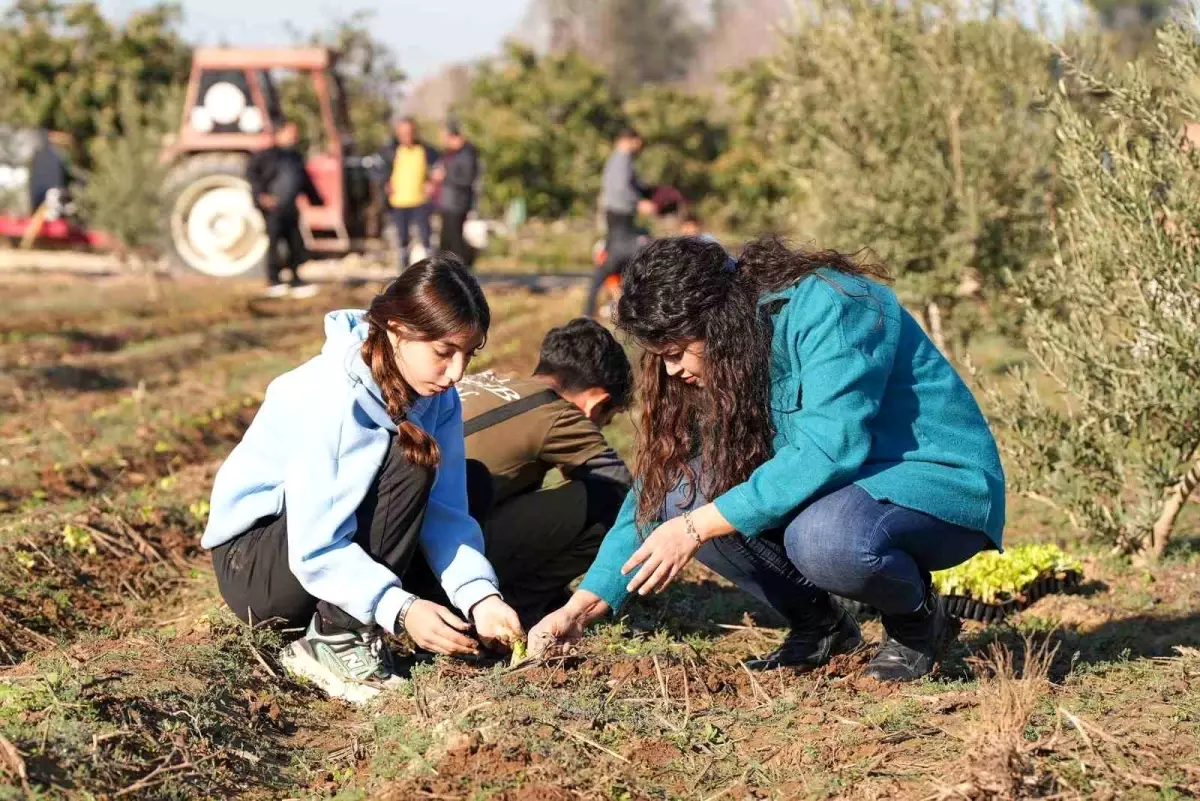 Tarsus’ta 5 Bin Marul Fidesi Dikildi